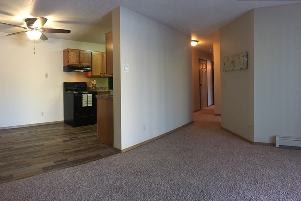 large photo of apartment