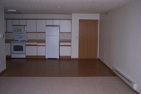 large photo of apartment