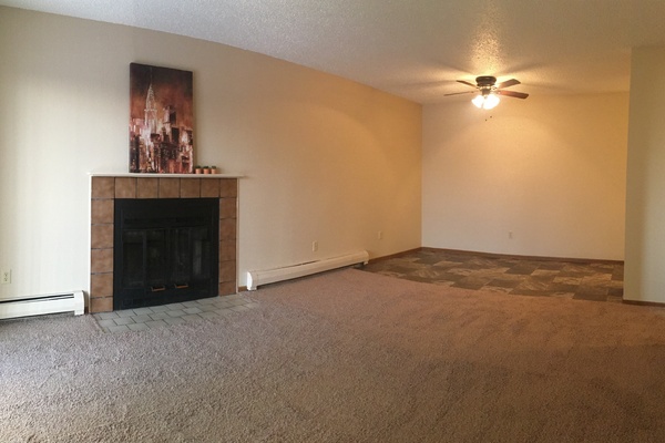 large photo of apartment